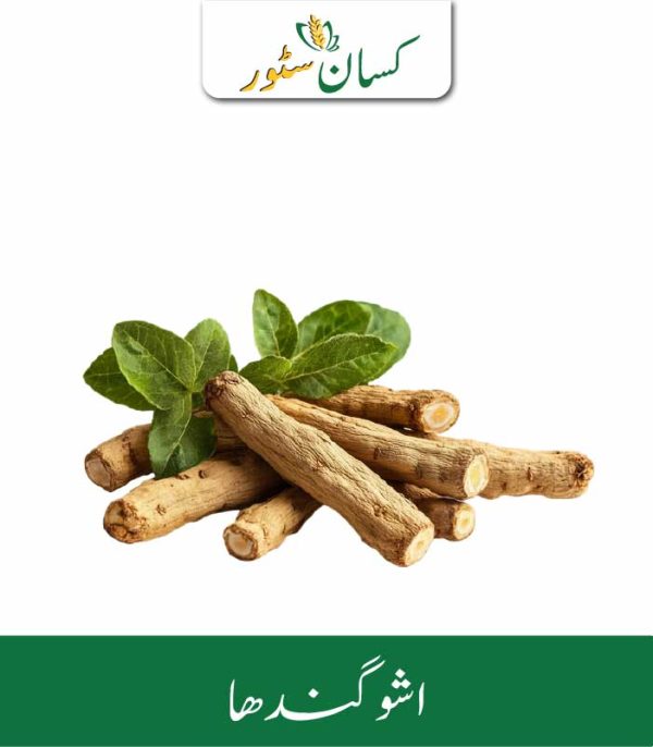 Ashwagandha Kissan Organics Price in Pakistan