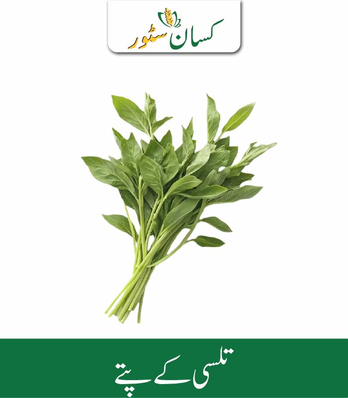 Basil Leaves Kissan Organics Price in Pakistan Basil Leaves Kissan Organics Price in Pakistan