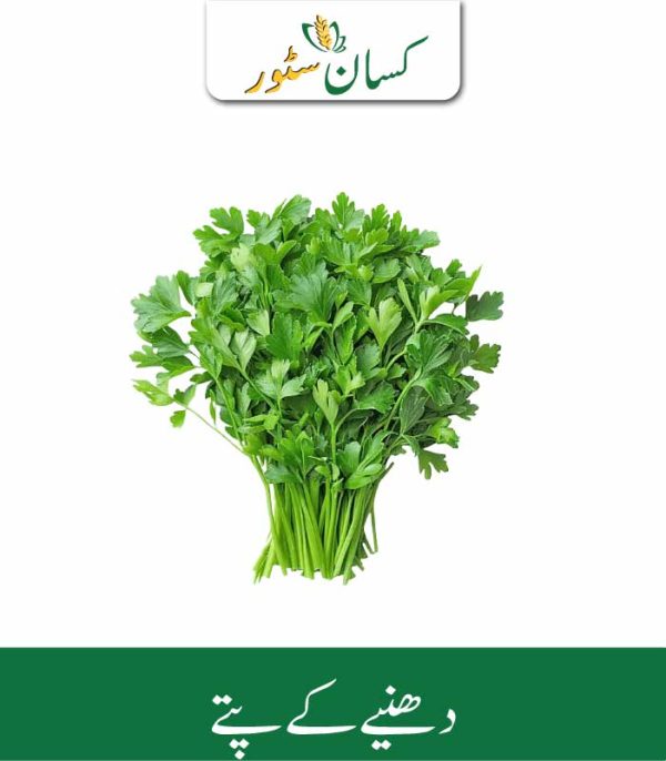 Coriander Leaves Kissan Organics Price in Pakistan