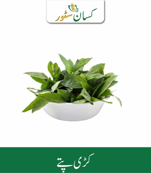 Curry Leaves Kissan Organics Price in Pakistan