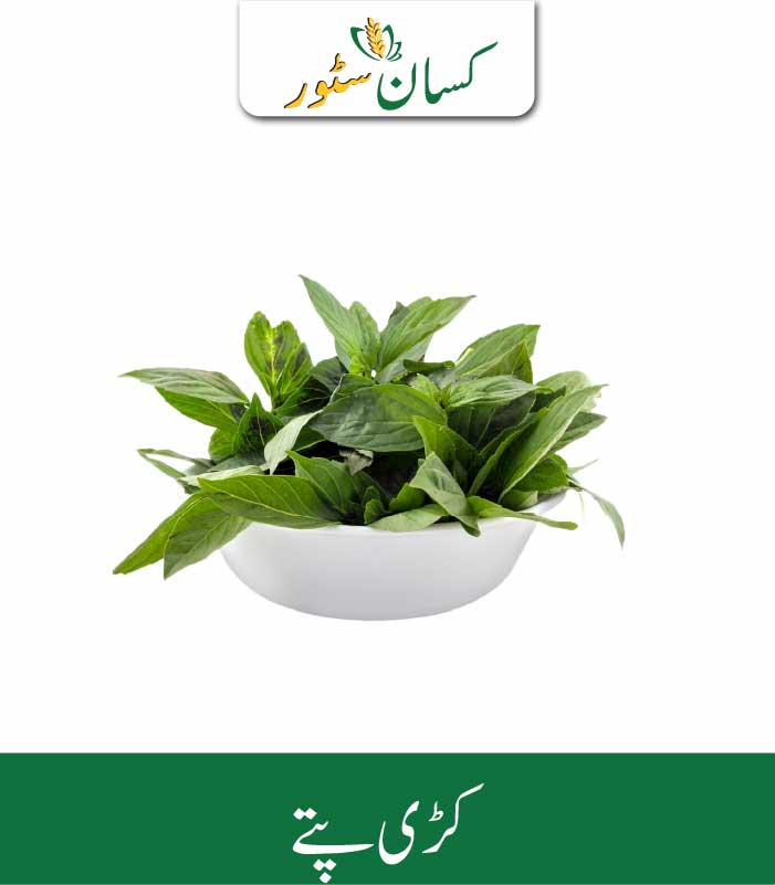 Curry Leaves Kissan Organics Price in Pakistan Curry Leaves Kissan Organics Price in Pakistan