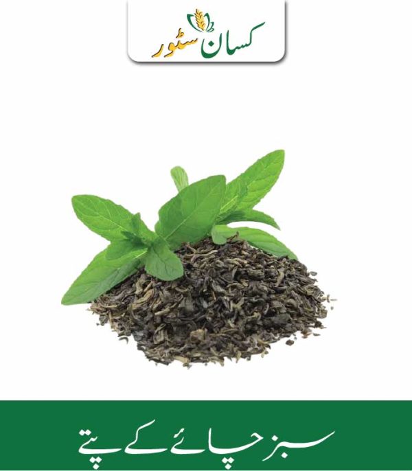 Green Tea Leaves Kissan Organics Price in Pakistan