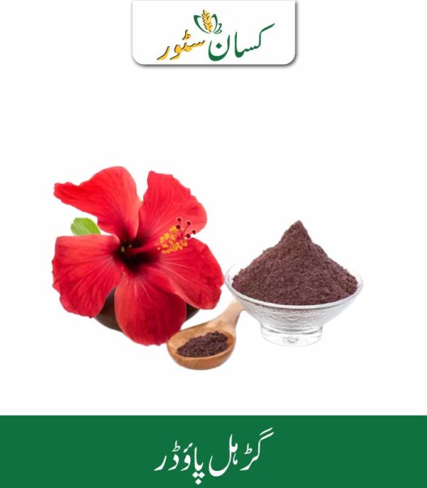 Hibiscus Powder Kissan Organics Price in Pakistan