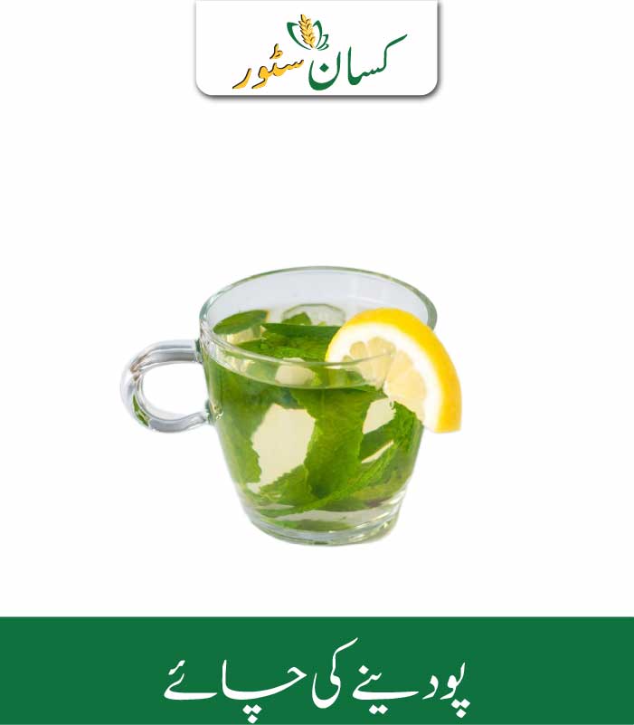 Mint Tea Kissan Organics Price in Pakistan Mint Tea Kissan Organics Price in Pakistan