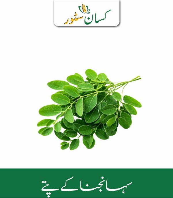 Moringa Leaves Kissan Organics Price in Pakistan