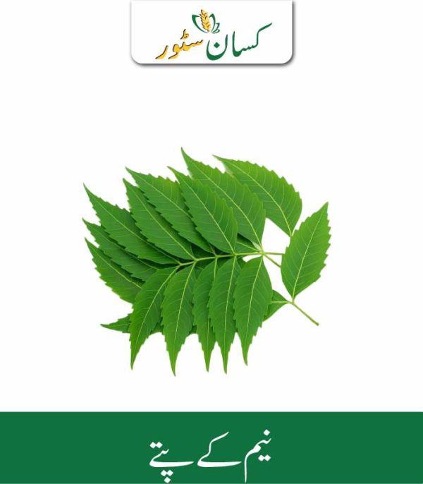 Neem Leaves Kissan Organics Price in Pakistan