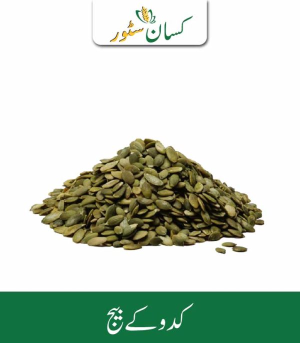 Pumpkin Seeds Kissan Organics Price in Pakistan