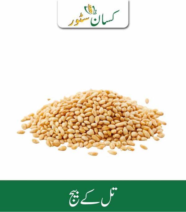 Sesame Seeds Kissan Organics Price in Pakistan