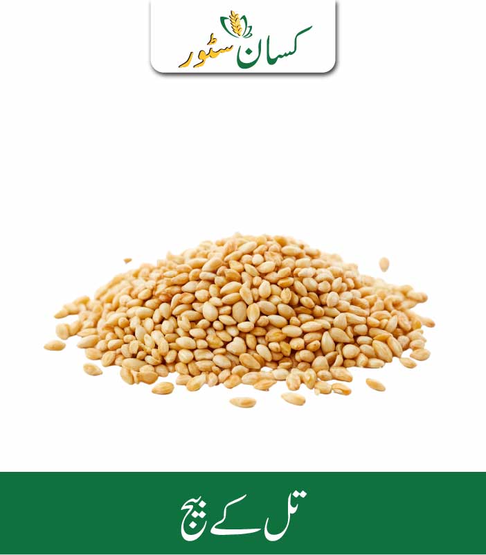 Sesame Seeds Kissan Organics Price in Pakistan Sesame Seeds Kissan Organics Price in Pakistan