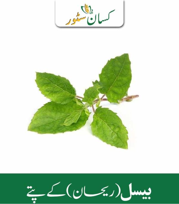 Tulsi Leaves Kissan Organics Price in Pakistan