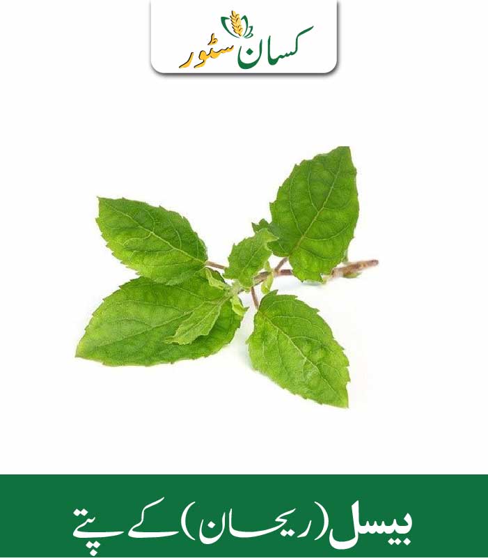 Tulsi Leaves Kissan Organics Price in Pakistan Tulsi Leaves Kissan Organics Price in Pakistan
