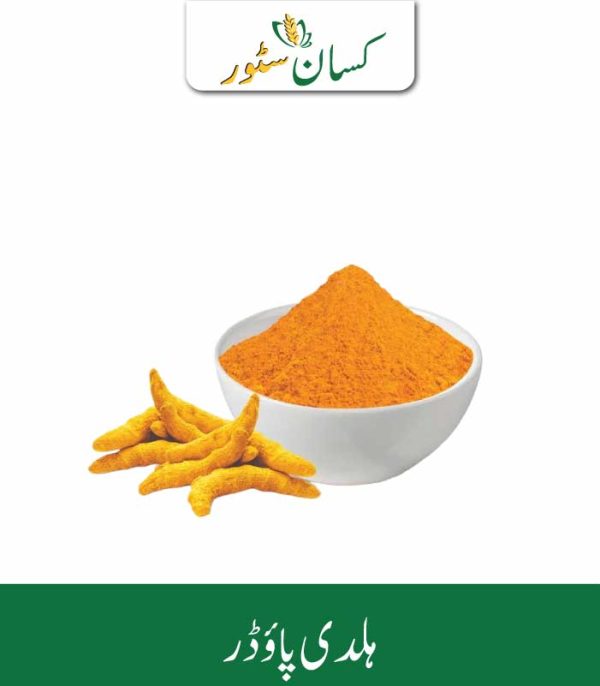 Turmeric Powder (Haldi) Kissan Organics Price in Pakistan