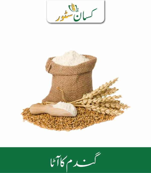 Wheat Flour Kissan Organics Price in Pakistan