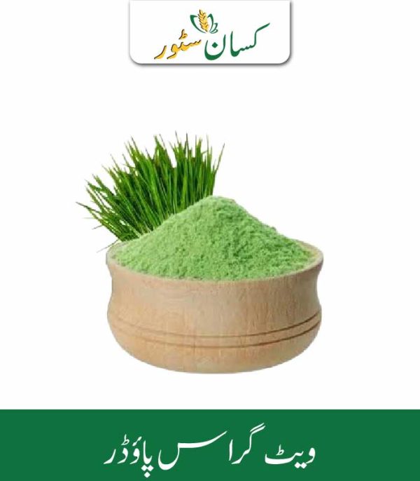 Wheatgrass Powder Kissan Organics Price in Pakistan