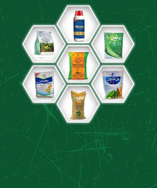 promo-banner-image